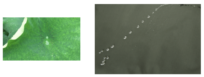 JNTY江南医用纺织