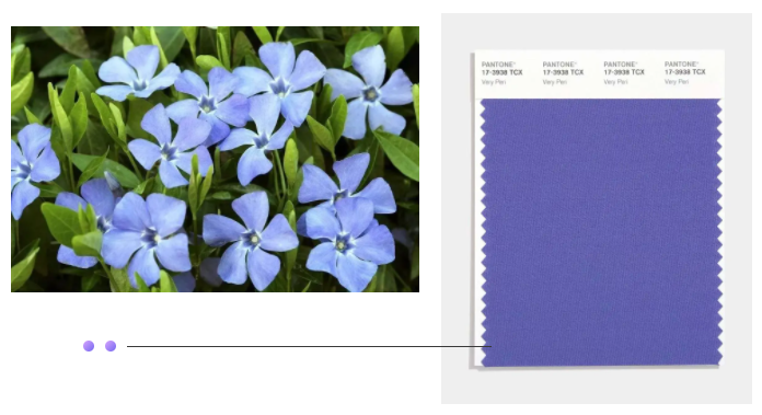 JNTY江南纺织面料