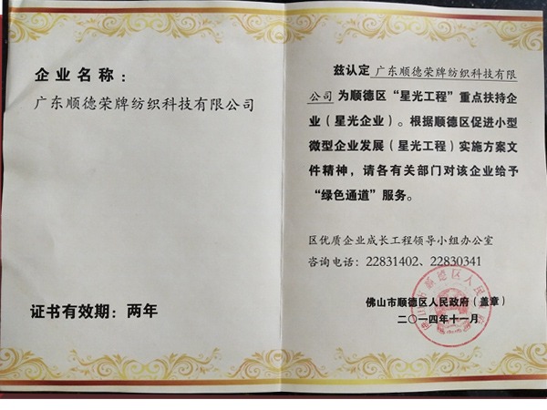 JNTY江南荣获政府重点扶持企业